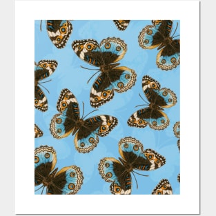 Blue Pansy Butterfly pattern on blue Posters and Art